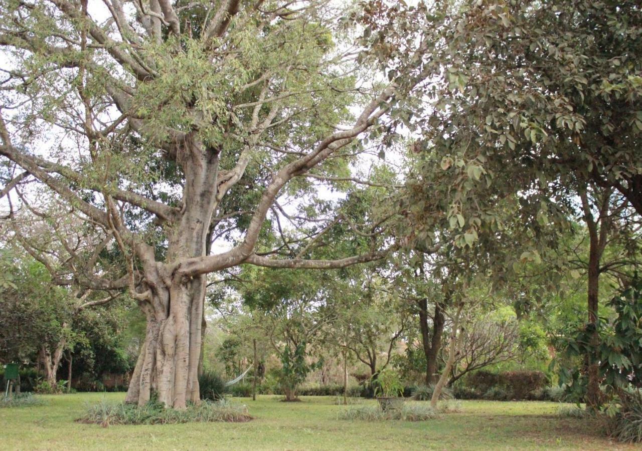 Barefoot Lodge And Safaris - Malawi Lilongwe Bagian luar foto