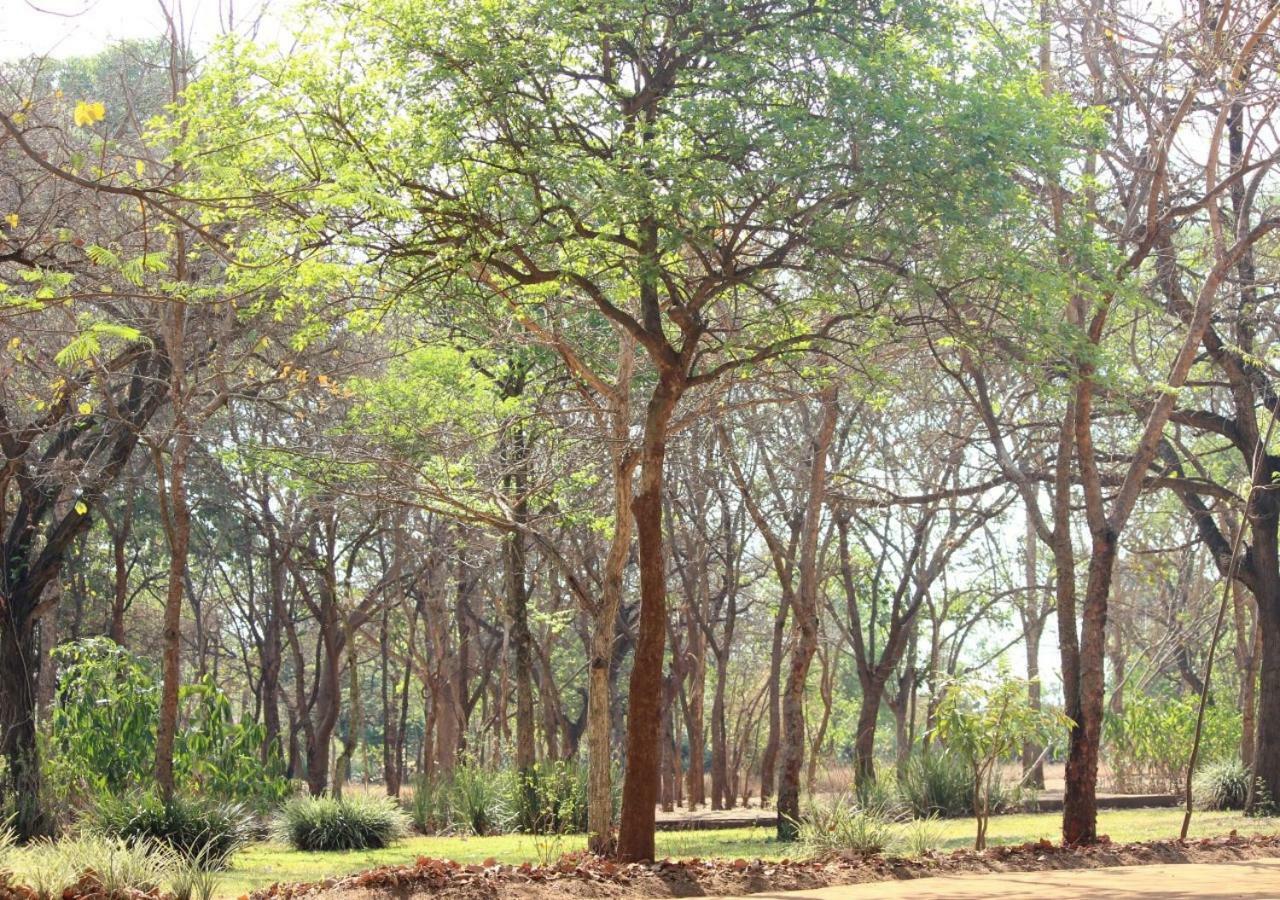 Barefoot Lodge And Safaris - Malawi Lilongwe Bagian luar foto